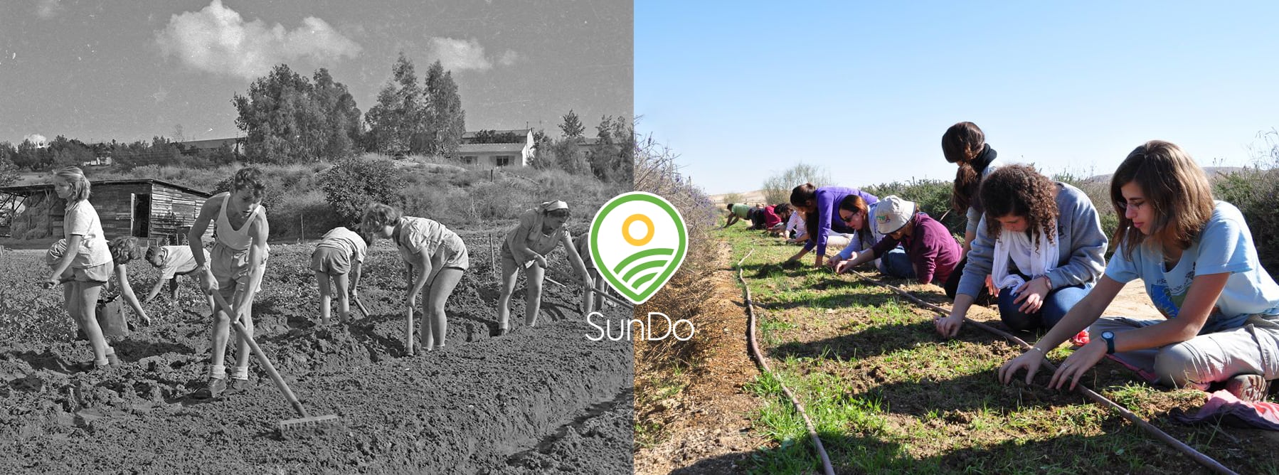Read more about the article התנדבות חקלאית בישראל / יואב מור